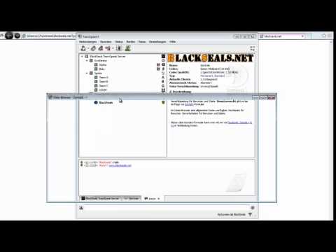 Teamspeak 3: Übersicht über den Client #3v4