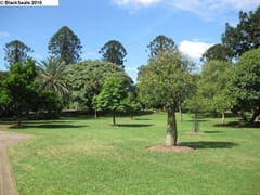 brisbane_city_garden3