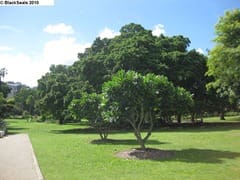 brisbane_city_garden5