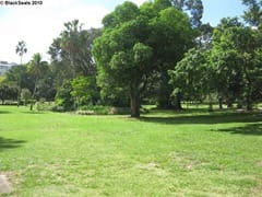 brisbane_city_garden6