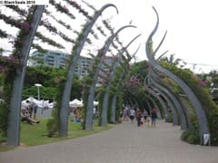 brisbane_pool3