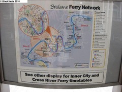 CityCat_1