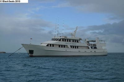 Schiff