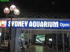Sydney_Aquarium