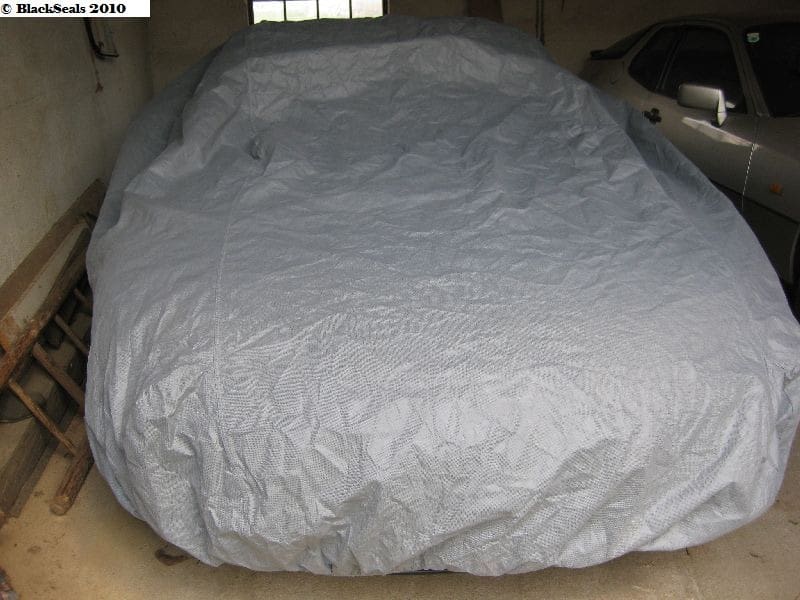 Mehr über den Artikel erfahren verspätete Ostersuche