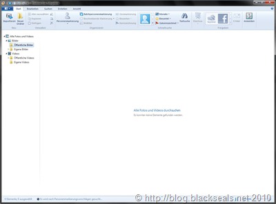 windows_live_fotogalerie_2011