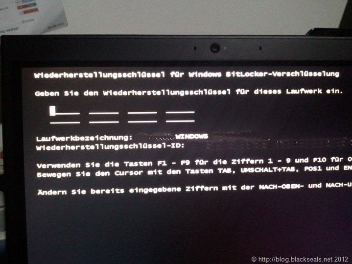 Mehr über den Artikel erfahren Bitlocker und das BIOS Update