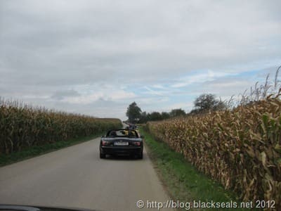 autumn_spirit_2012_1