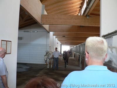 fuehrung_lipizzaner_3