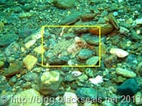panambuang_hafentauchgang_6