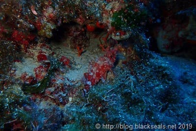 comino_latern_point_1