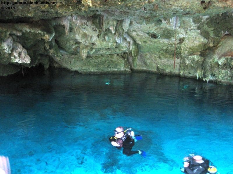 Mehr über den Artikel erfahren Mexiko 2011: Tauchen auf Riviera Maya