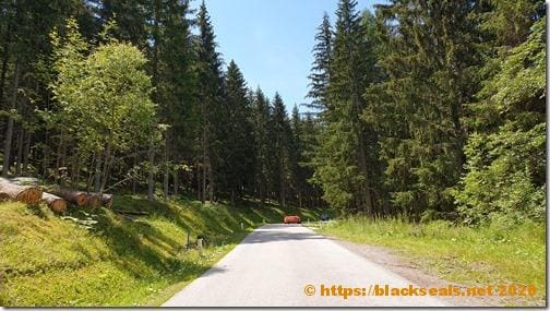 sommertour-2020-tag-7-waldstrecke