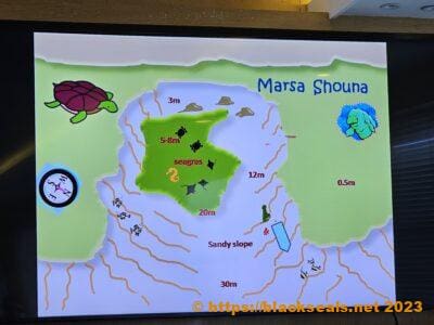 red-sea-2023-marsa-shouna-tauchplan