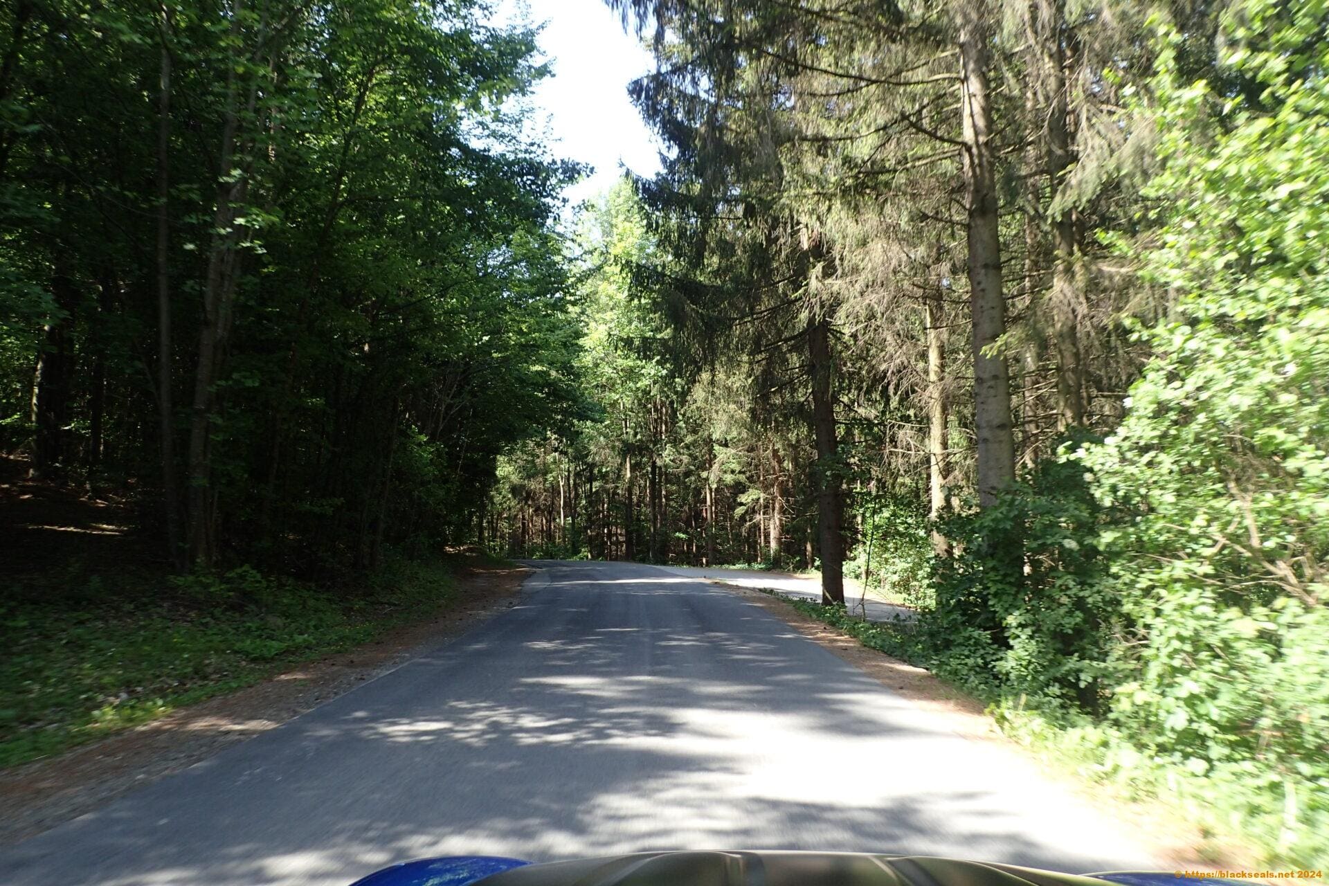 SpringDrive 2024 in der Buckligen-Welt