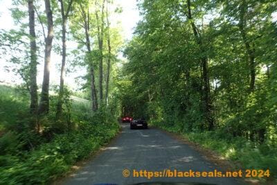SpringDrive 2024 in der Buckligen-Welt