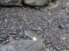 island_2015_002.jpg
