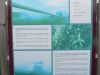 island_2015_059.jpg