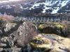 island_2015_072.jpg