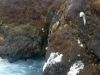 island_2015_076.jpg