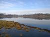island_2015_122.jpg