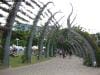 brisbane_australia_029