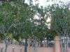 brisbane_australia_061