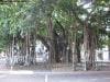 brisbane_australia_064