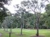 brisbane_australia_073