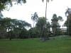 brisbane_australia_078