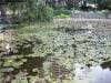 brisbane_australia_084