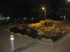 brisbane_australia_100