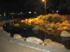 brisbane_australia_101
