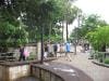 brisbane_australia_118