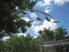 brisbane_australia_149