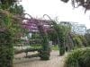 brisbane_australia_156