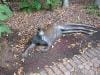 brisbane_australia_165