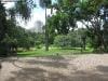 brisbane_australia_166