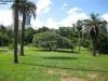 brisbane_australia_169