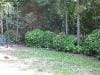 brisbane_australia_170