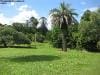 brisbane_australia_171