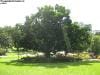 brisbane_australia_172