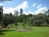 brisbane_australia_173