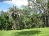 brisbane_australia_175