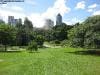 brisbane_australia_176