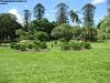 brisbane_australia_177