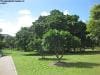 brisbane_australia_180