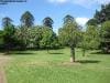 brisbane_australia_183