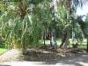brisbane_australia_184