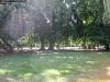 brisbane_australia_185